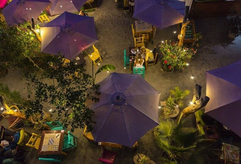 Banana S Adventure Hostel