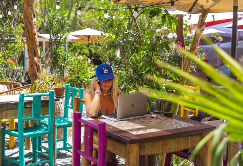 Banana S Adventure Hostel