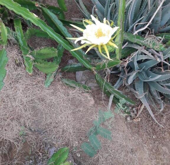 Bed and Breakfast Aquamarinn