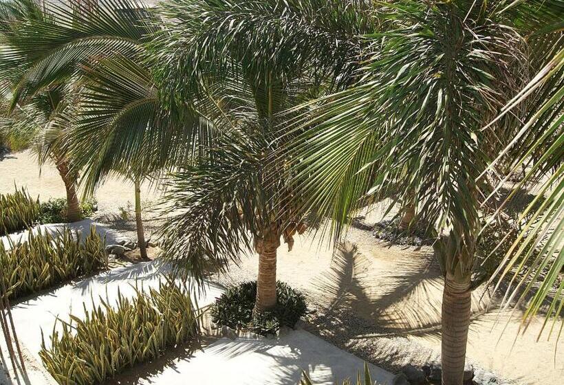 Bed and Breakfast Aquamarinn