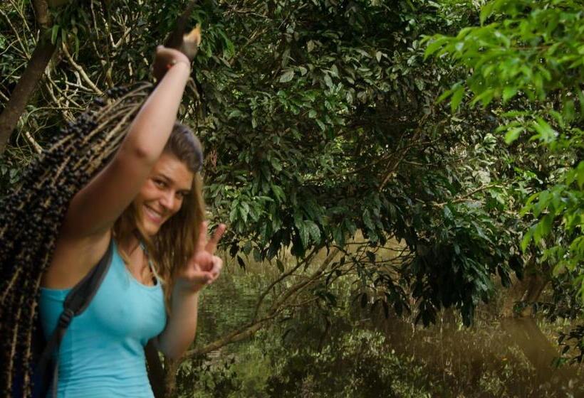 مبيت وإفطار Hostel Casa De Las Palmas Tours