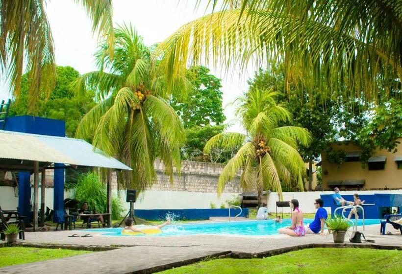 تختخواب و صبحانه Hostel Casa De Las Palmas Tours