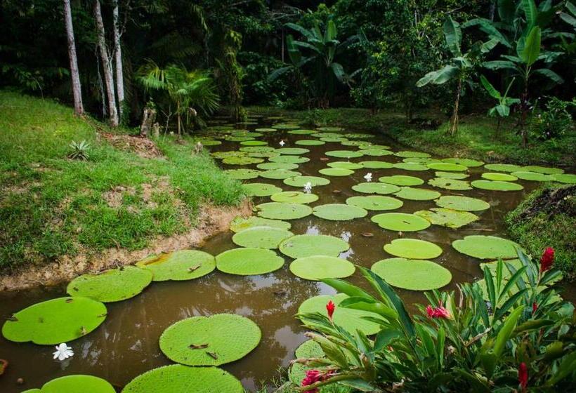 مبيت وإفطار Hostel Casa De Las Palmas Tours