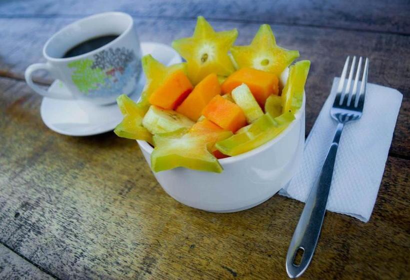 مبيت وإفطار Hostel Casa De Las Palmas Tours