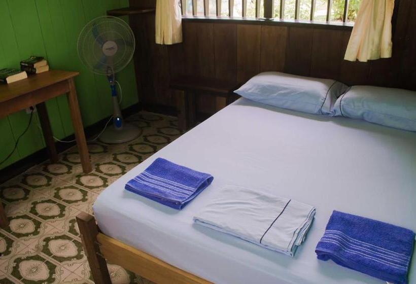مبيت وإفطار Hostel Casa De Las Palmas Tours