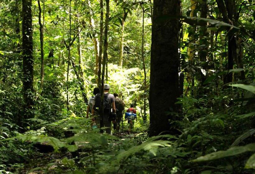 تختخواب و صبحانه Hostel Casa De Las Palmas Tours