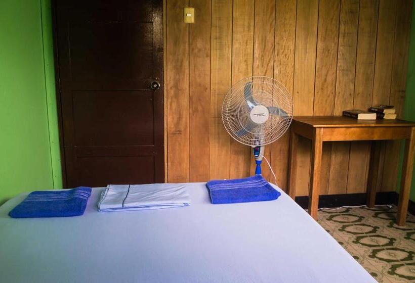 تختخواب و صبحانه Hostel Casa De Las Palmas Tours