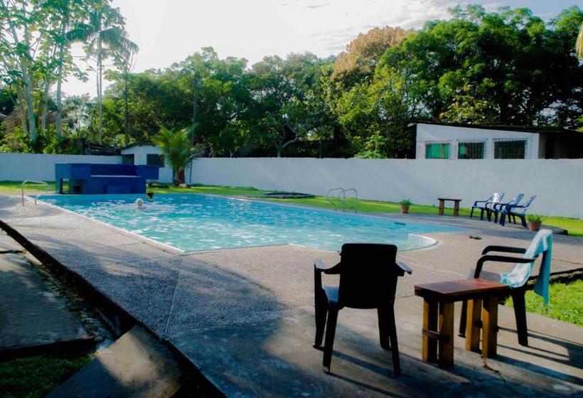 مبيت وإفطار Hostel Casa De Las Palmas Tours