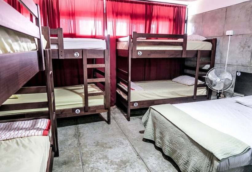 تختخواب و صبحانه Ica Adventures Ii