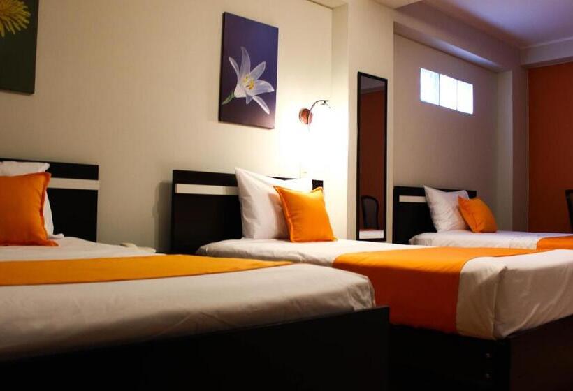 مبيت وإفطار Platinium