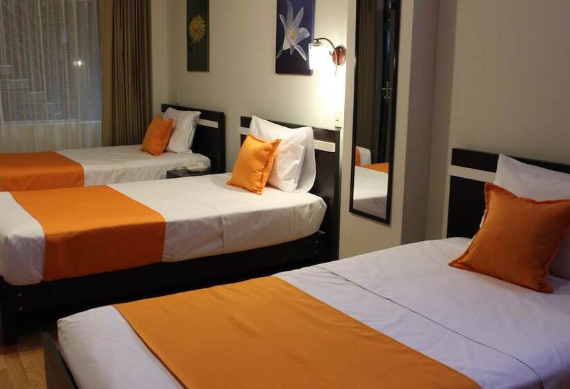 مبيت وإفطار Platinium