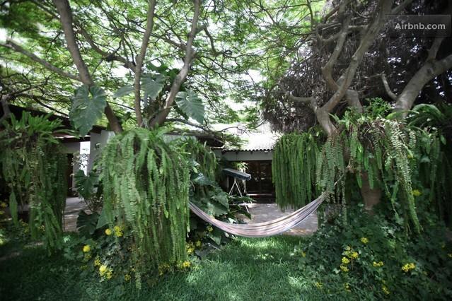 住宿加早餐  Posada Monterrico Boutique