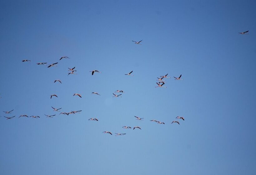 Golden Sands Apartments By Sol Resorts