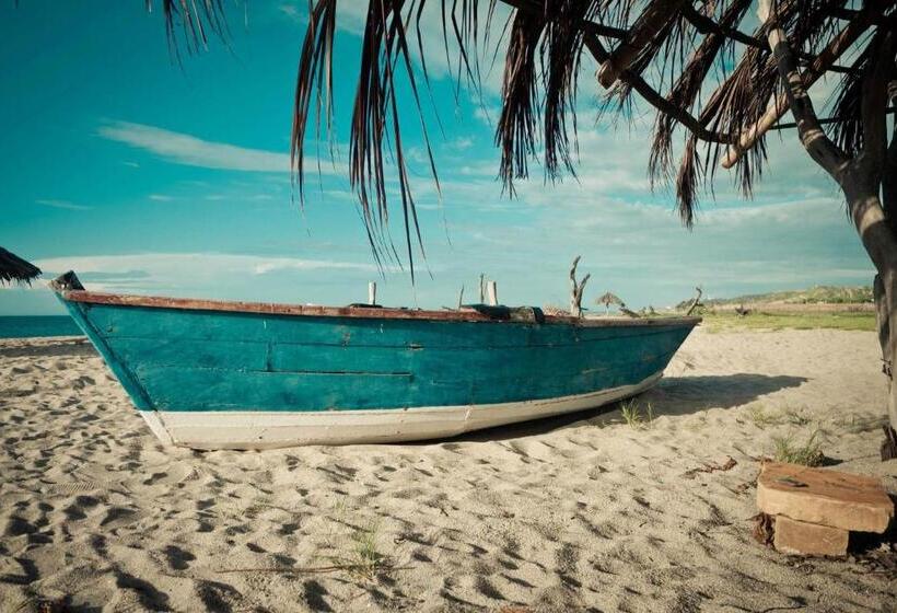 Grillo Tres Puntas Eco Hostel