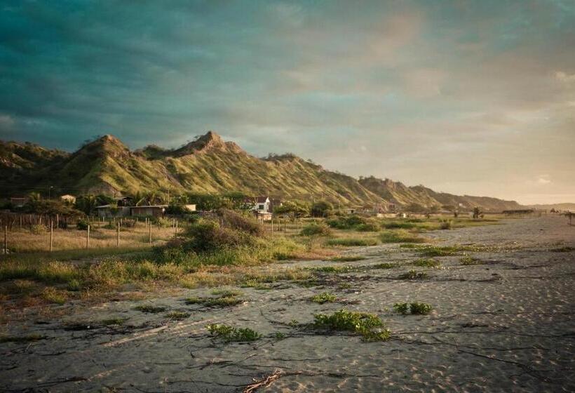 Grillo Tres Puntas Eco Hostel