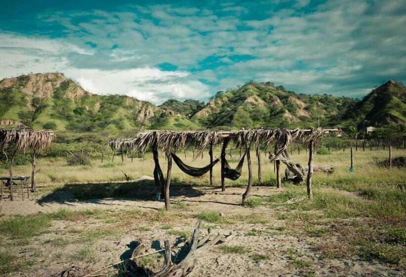 Grillo Tres Puntas Eco Hostel