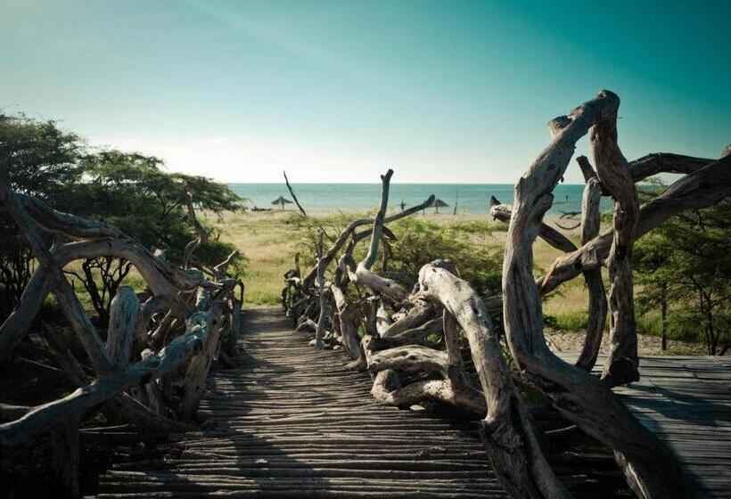 Grillo Tres Puntas Eco Hostel