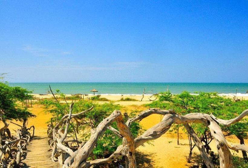 Grillo Tres Puntas Eco Hostel