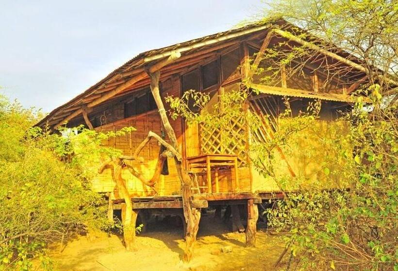 Grillo Tres Puntas Eco Hostel