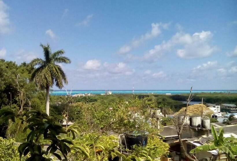 פונדק Bight View