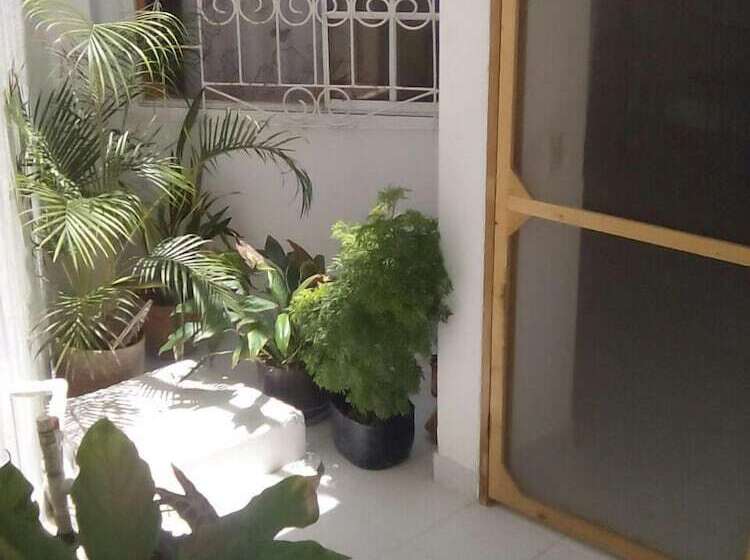 פונדק Bight View