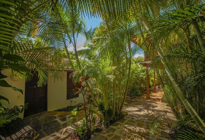 호텔 Achiotte Masaya Collection