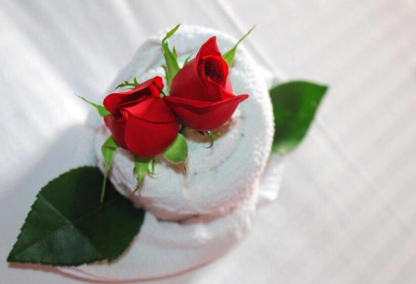 هتل Alejandria Resort Barichara