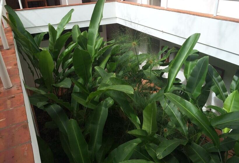 ホテル Alto Del Viento