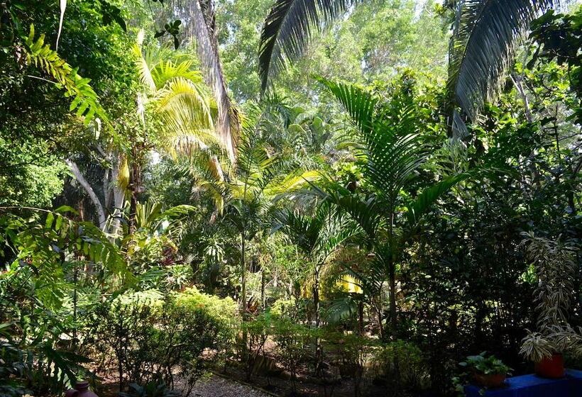 酒店 Amanwana Ecofinca