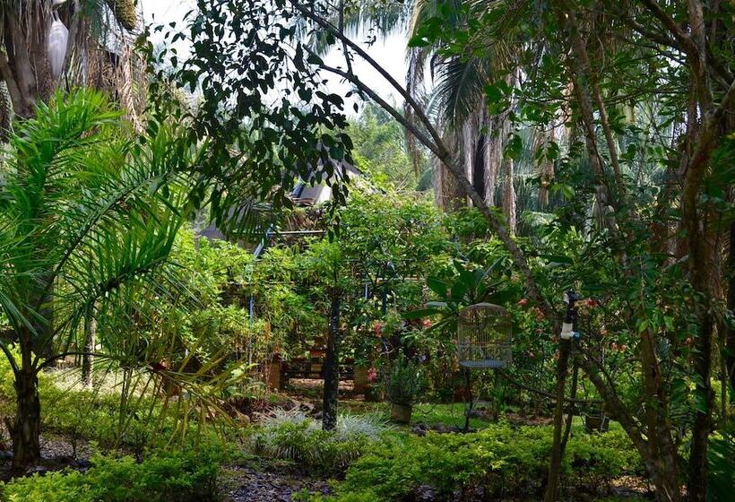 酒店 Amanwana Ecofinca