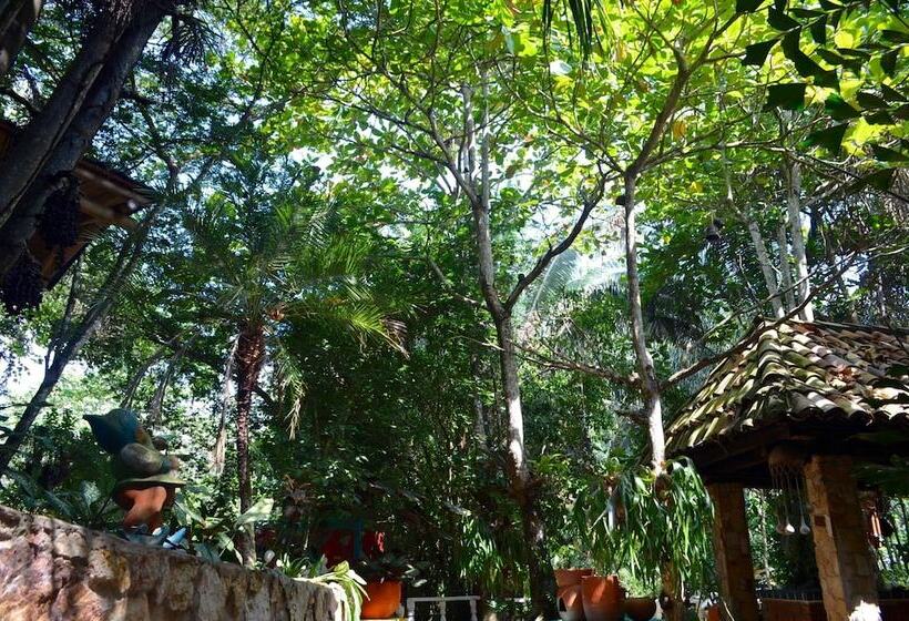 酒店 Amanwana Ecofinca