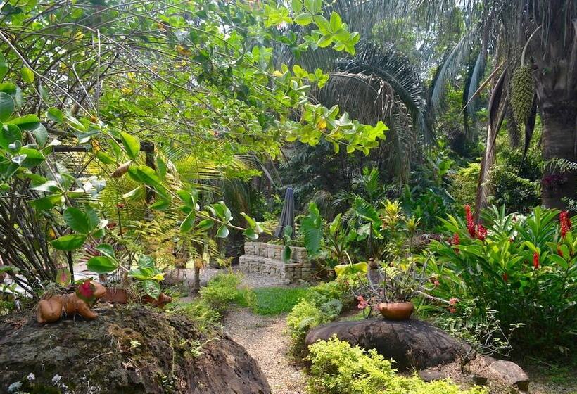 酒店 Amanwana Ecofinca