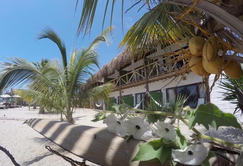 ホテル Bamboo Lodge