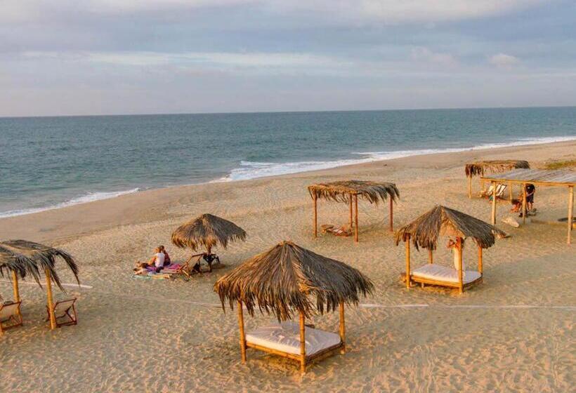 ホテル Bamboo Lodge