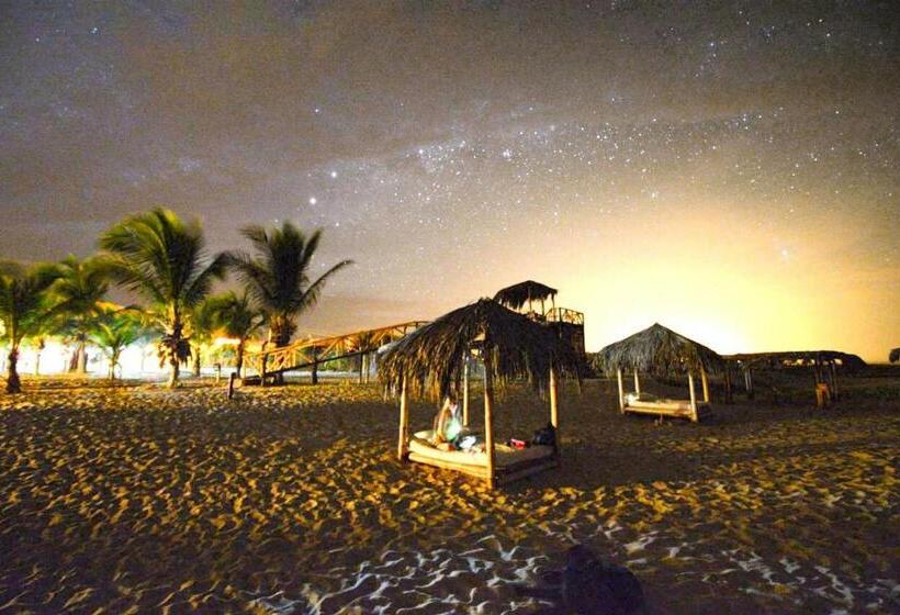 ホテル Bamboo Lodge