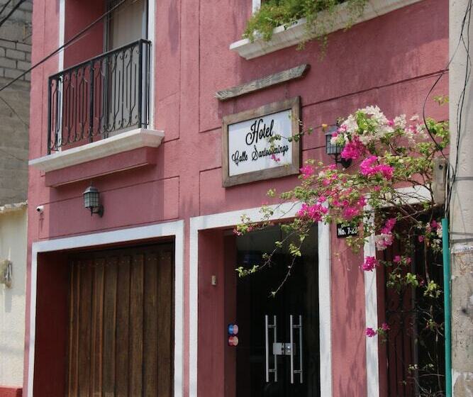 בית מלון כפרי Calle Santodomingo