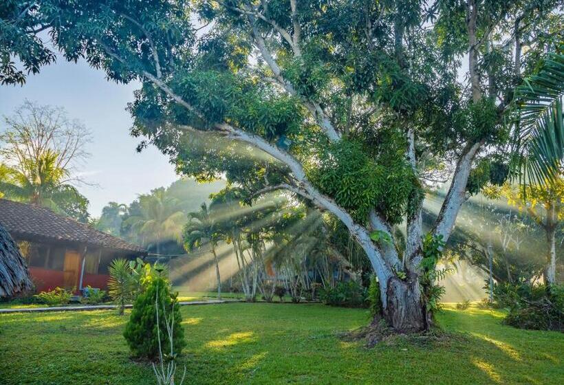 فندق Dm Es Tarapoto