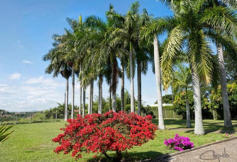 호텔 El Lugar Boutique