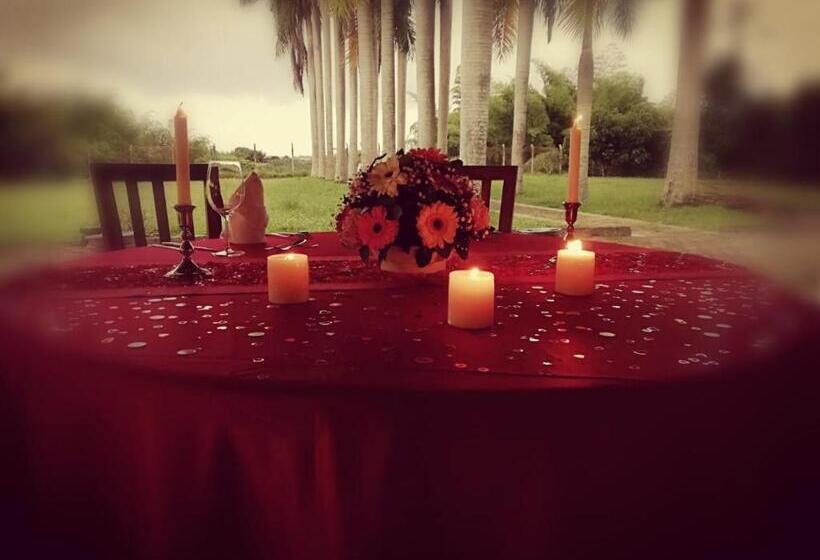 호텔 El Lugar Boutique