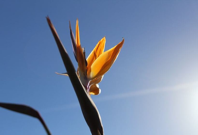 酒店 El Palacete Del Corregidor