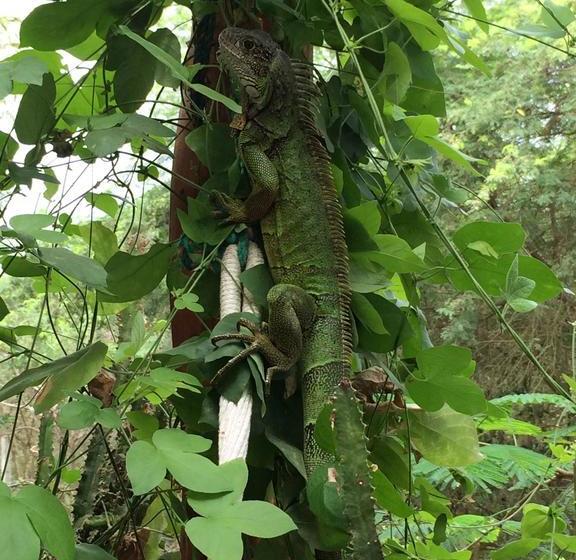 酒店 Hostería Mandála