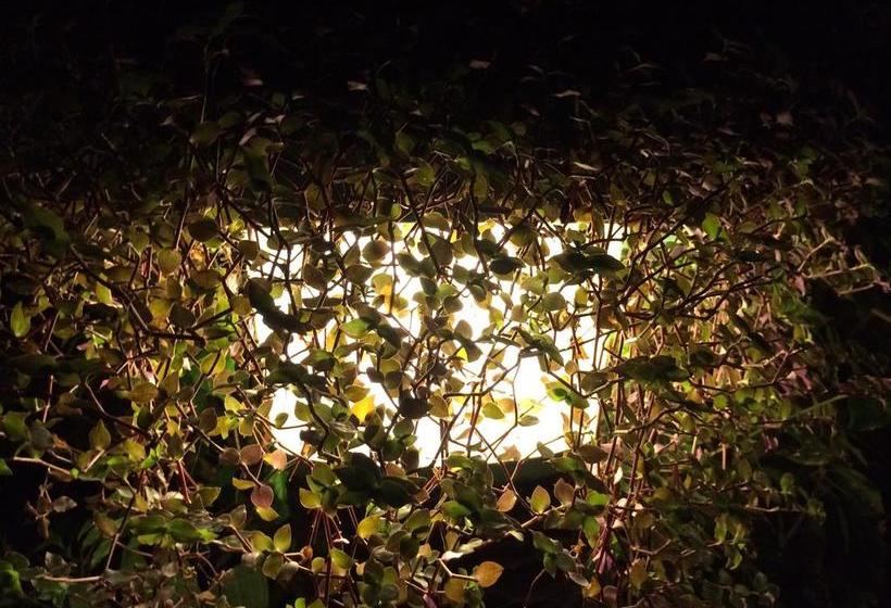 酒店 Hostería Mandála