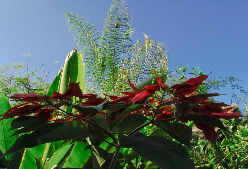 酒店 Hostería Mandála