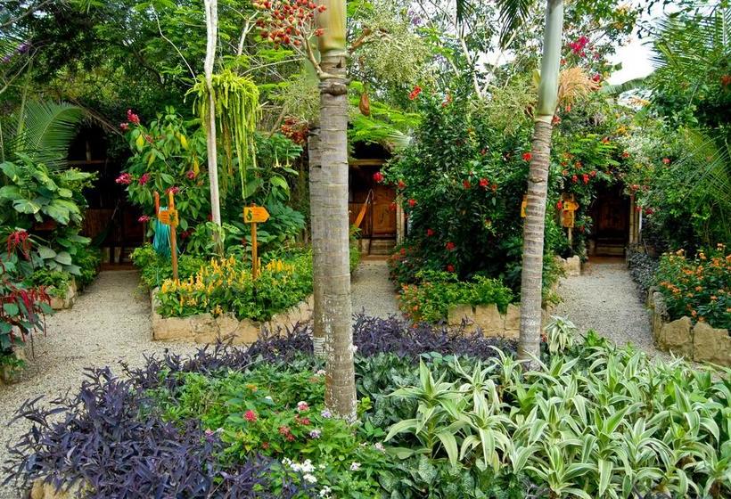 酒店 Hostería Mandála