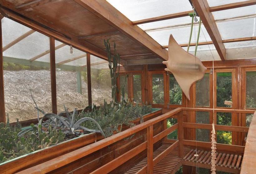 酒店 Hostería Mandála