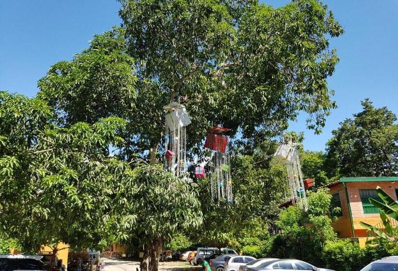 Отель Hosteria Tonusco Campestre