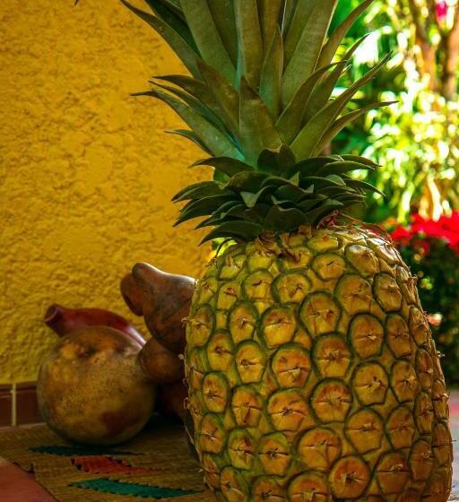 Отель Hosteria Tonusco Campestre