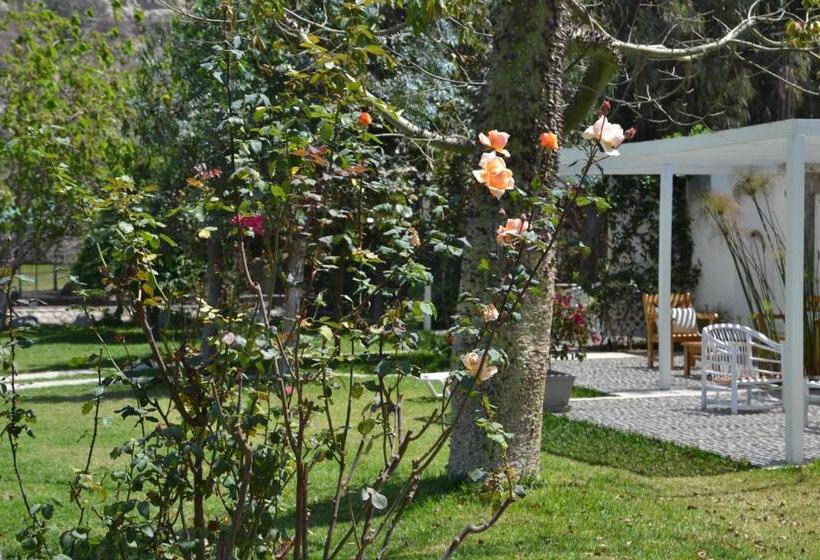 Отель Los Palomos