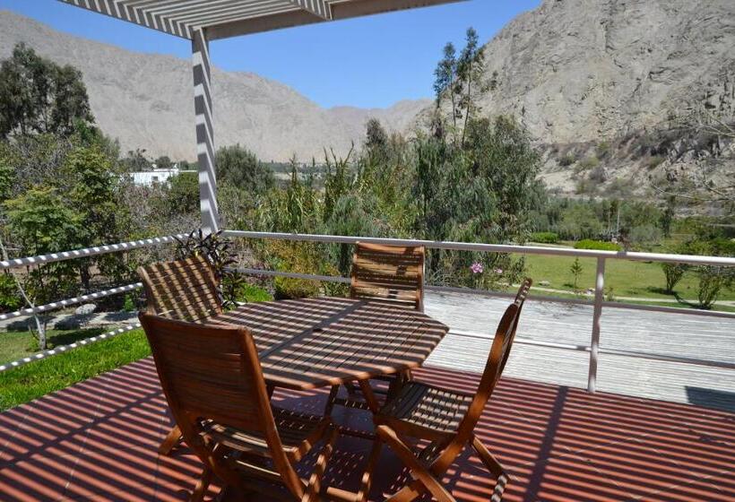 Отель Los Palomos