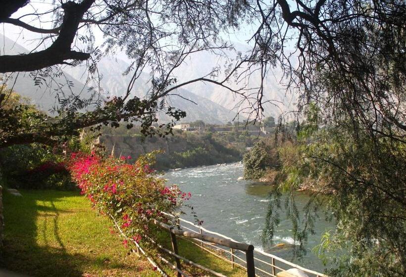 Отель Los Palomos